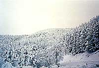 foto neve Passo Eremo di Gamogna '95